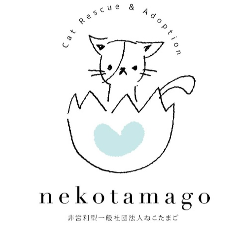 上野ここ　ねこたまご　白猫 ねこたまご +Cafe - 札幌市東区北二十三条東/猫カフェ | Yahoo!マップ