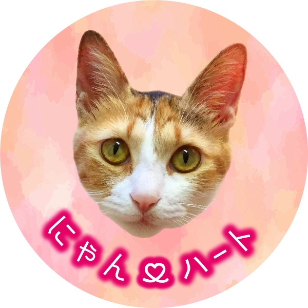 にゃんハート - 千葉県千葉市の保護猫団体 | neco-note（ネコノート）